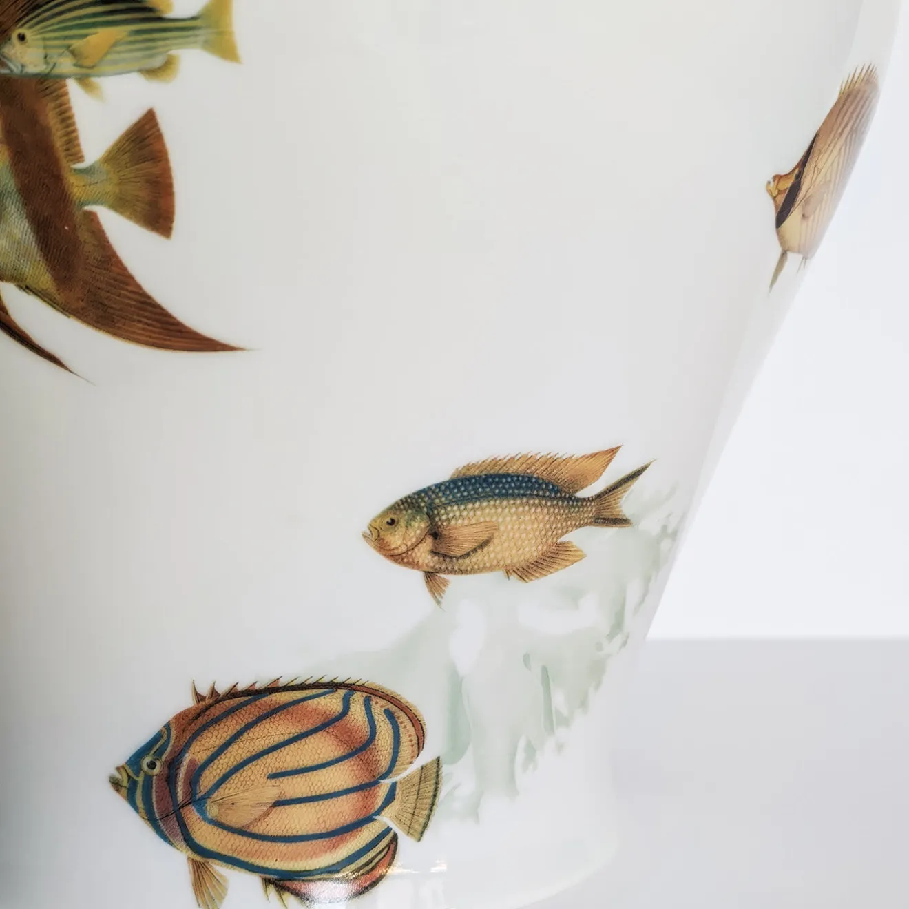 Grand Tour by Vito Nesta Amami Amphora Vaso in porcellana con pesci tropicali H27Cm