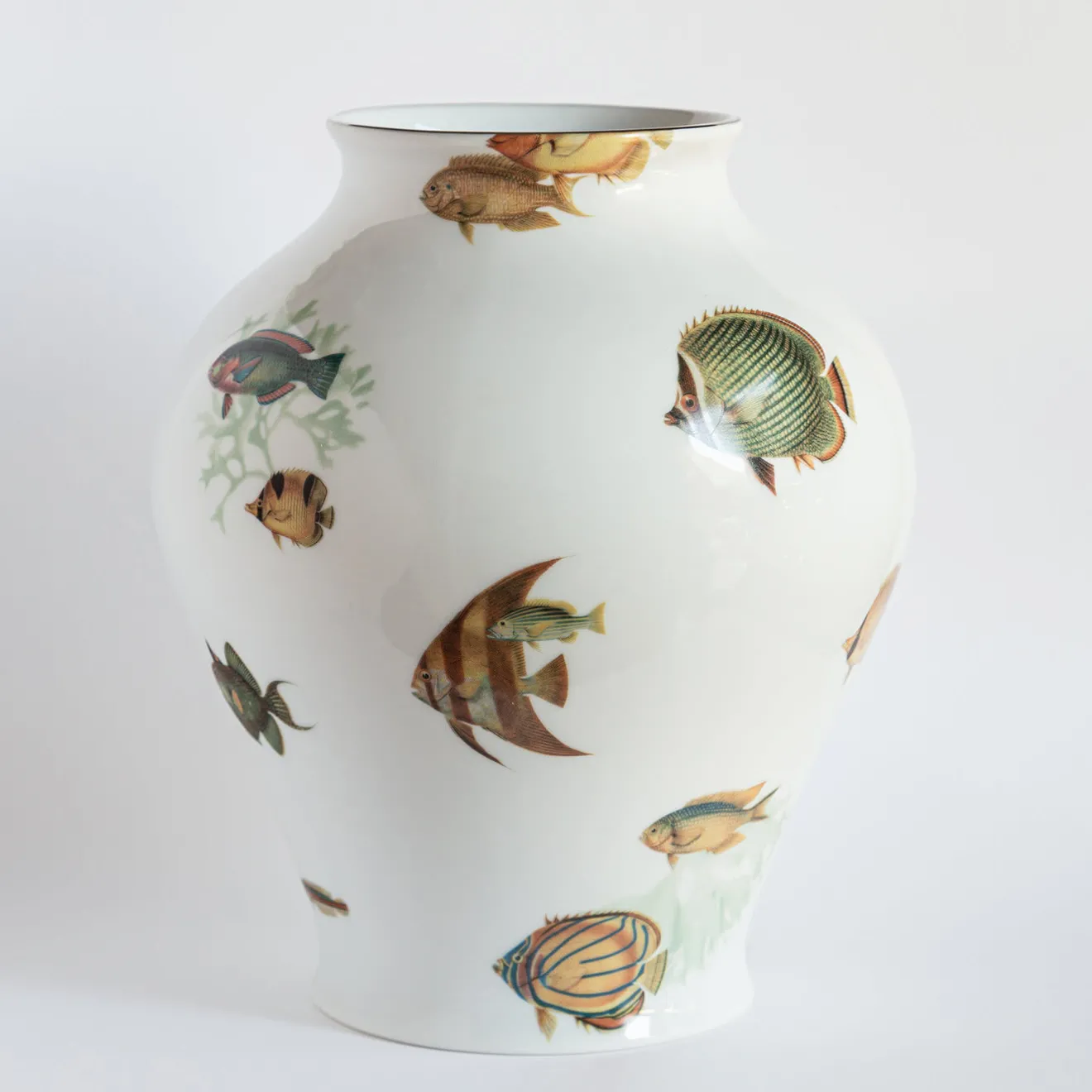 Grand Tour by Vito Nesta Amami Amphora Vaso in porcellana con pesci tropicali H27Cm