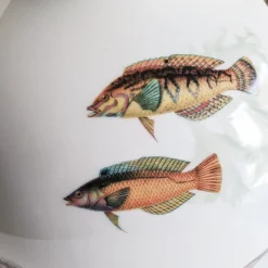 Grand Tour by Vito Nesta Amami Amphora Vaso in porcellana con pesci tropicali H32Cm