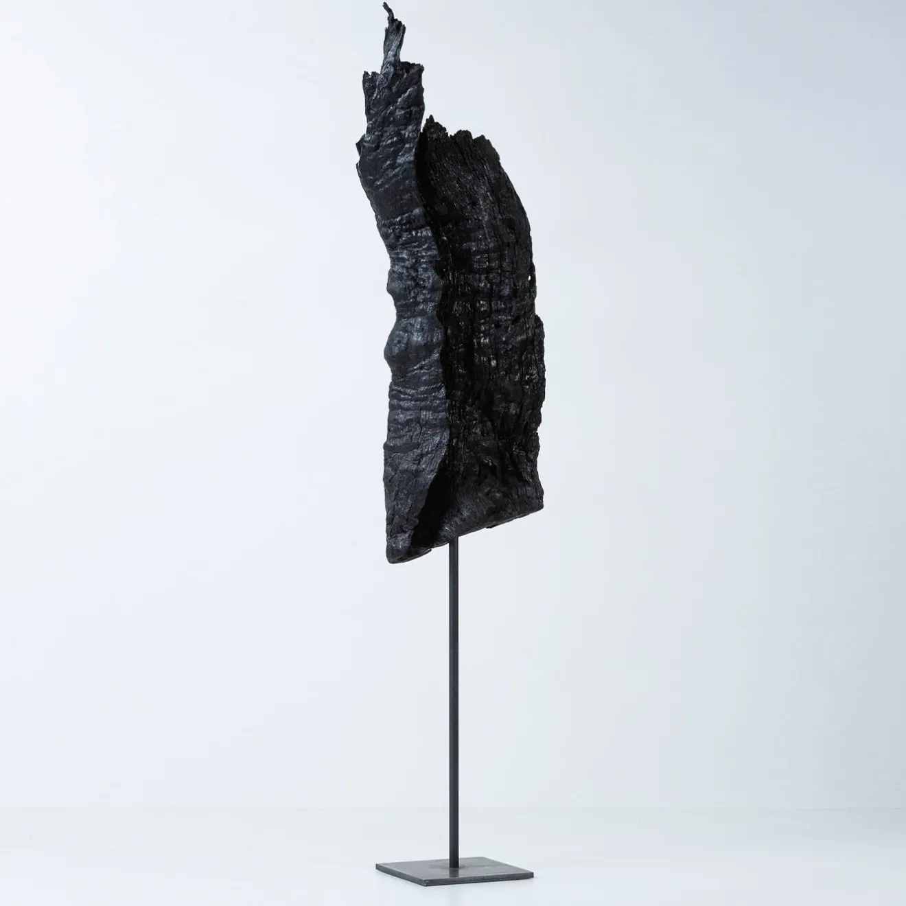 Omnibus Design Armis II Scultura nera