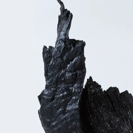 Omnibus Design Armis II Scultura nera