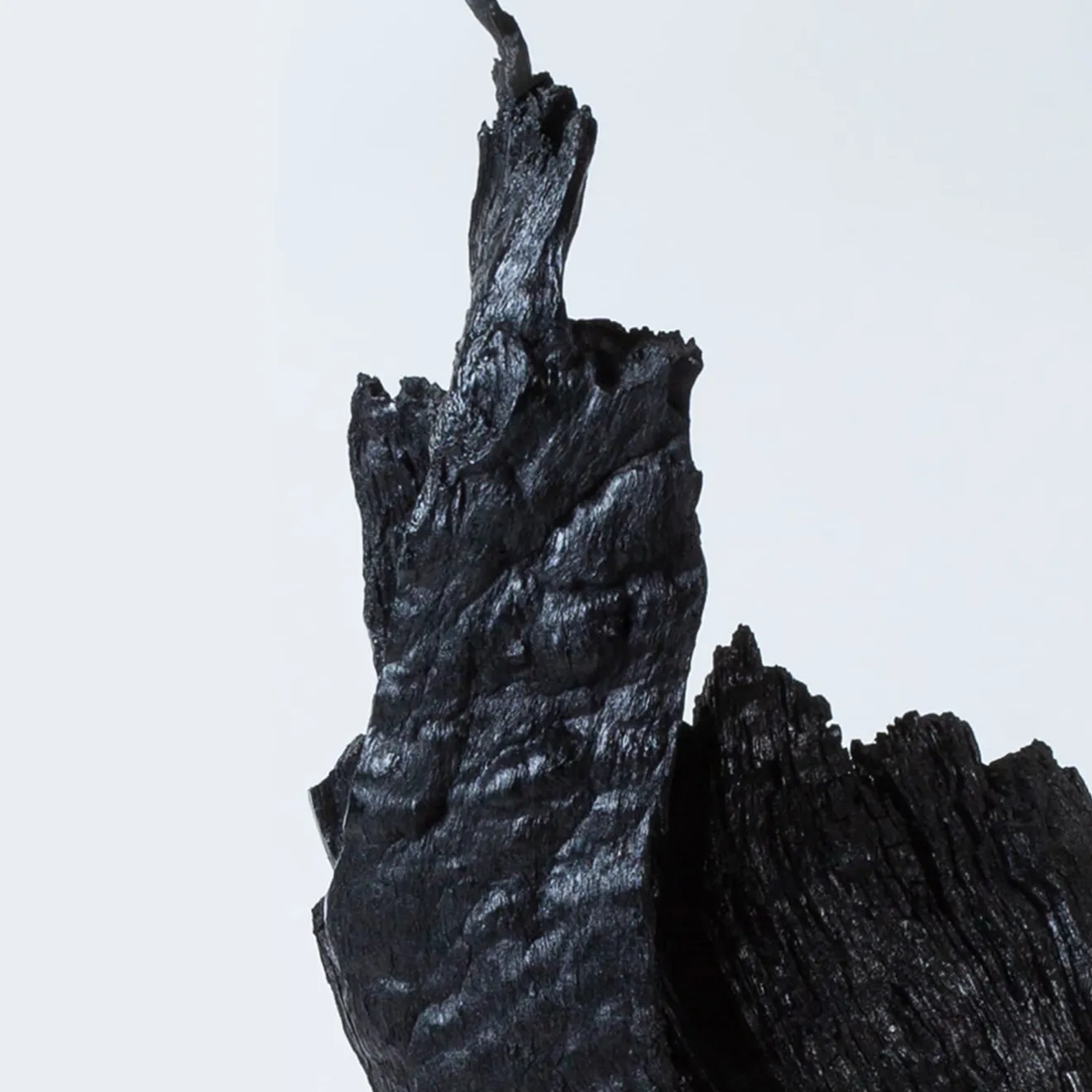 Omnibus Design Armis II Scultura nera