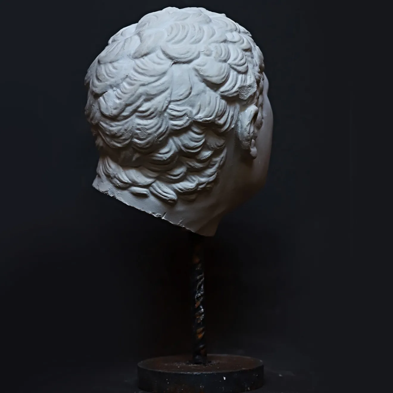 Galleria Romanelli Busto di Gladiatore Borghese su piedistallo