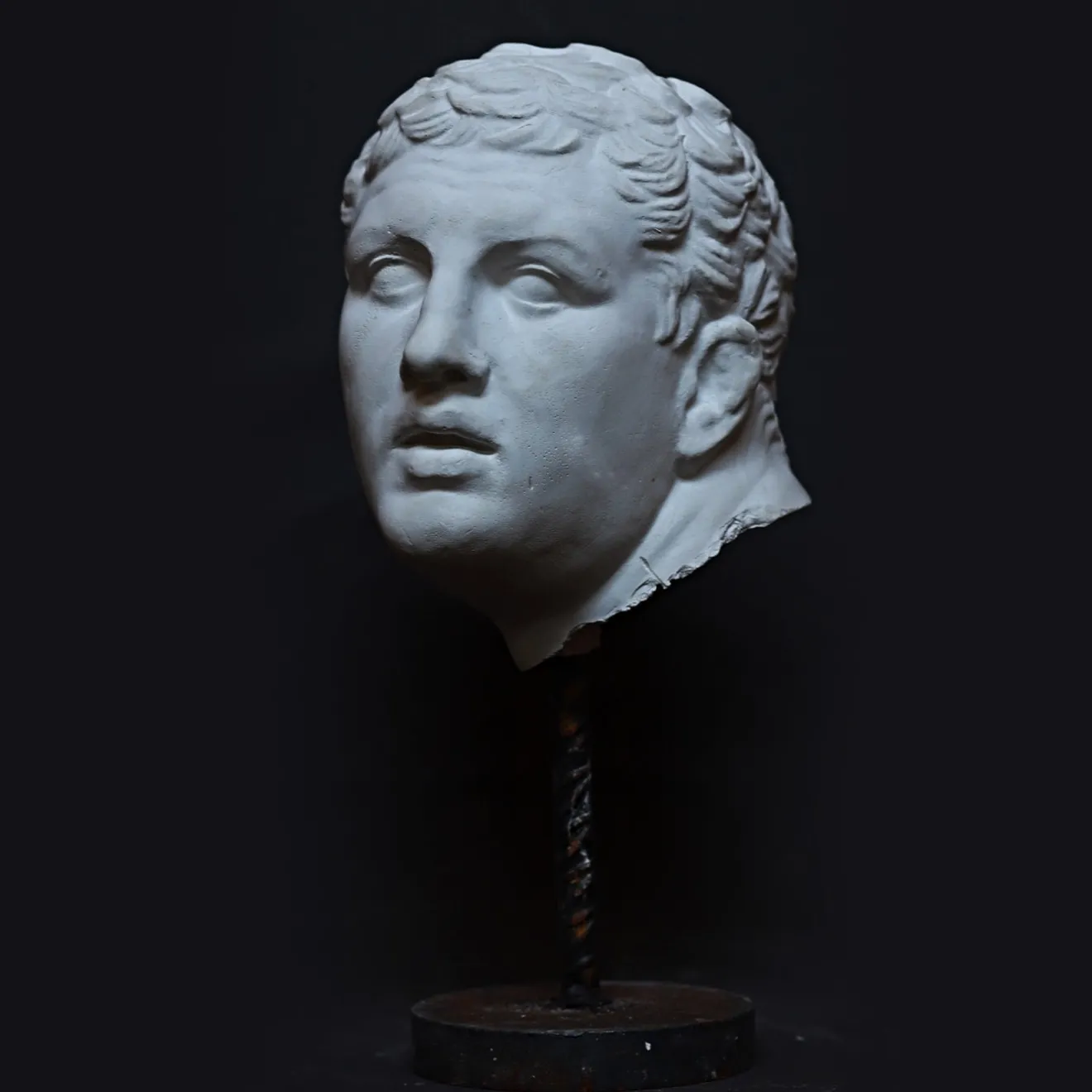 Galleria Romanelli Busto di Gladiatore Borghese su piedistallo