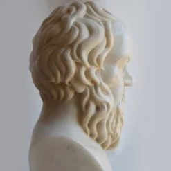 Todini Sculture Busto di Socrate