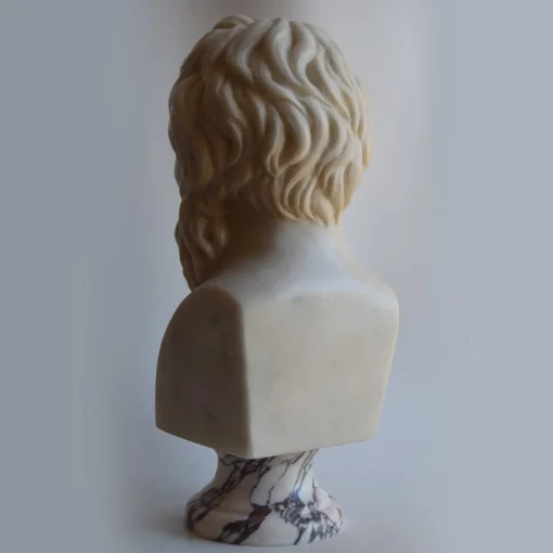 Todini Sculture Busto di Socrate