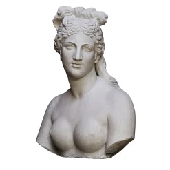 Galleria Romanelli Busto di Venere Capitolina