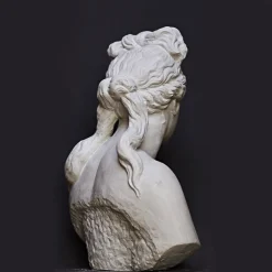 Galleria Romanelli Busto di Venere Capitolina