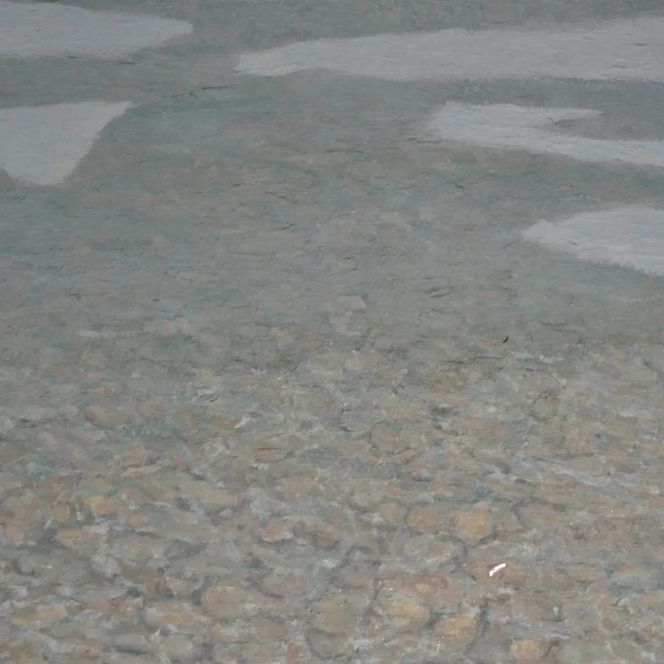 Angus Hampel C'è molto di più nella pittura
