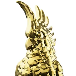 Marioni Cacatua Pappagallo arancione