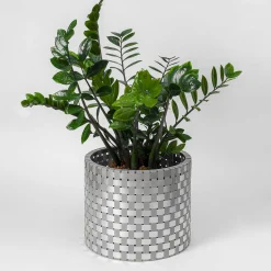 Splot Design Cachepot Terra Silver