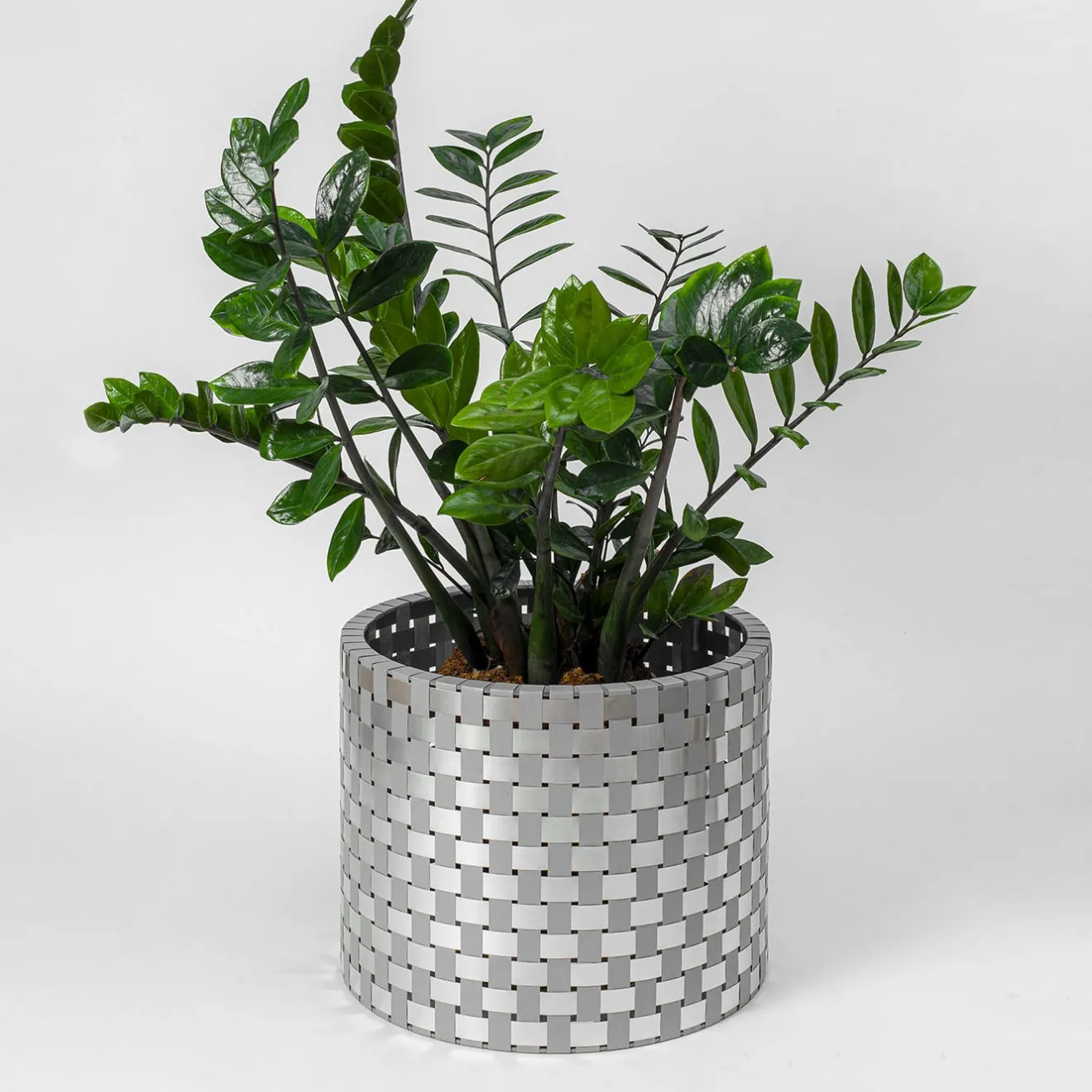 Splot Design Cachepot Terra Silver