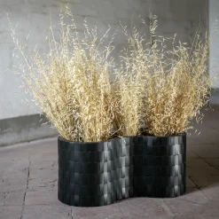 Splot Design Carex Black Cachepot