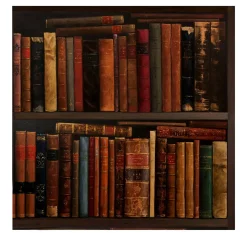 Wallpapers4Beginners Carta da Parati con Libreria Vintage