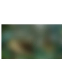 Secondome Edizioni Carta da parati Nebula Il Sogno #2