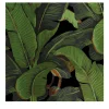 Wallpapers4Beginners Carta da Parati Tropicale Nera e Verde con Foglie di Banano