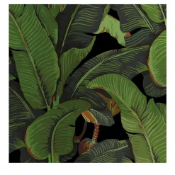 Wallpapers4Beginners Carta da Parati Tropicale Nera e Verde con Foglie di Banano