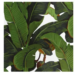 Wallpapers4Beginners Carta da Parati Tropicale Verde e Bianca con Foglie di Banano