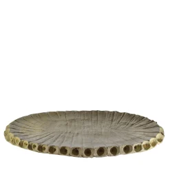 Creazioni di Andrea Serra Centrotavola Fossil 2/20