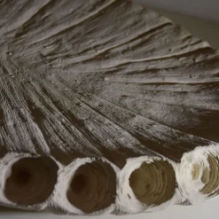 Creazioni di Andrea Serra Centrotavola Fossil 2/20