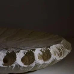 Creazioni di Andrea Serra Centrotavola Fossil 2/20