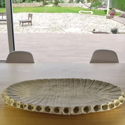 Creazioni di Andrea Serra Centrotavola Fossil 2/20