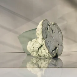 Coki Ciotola decorativa in vetro salvia scultorea Catharsis