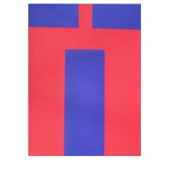 Le Meduse Color Spaces La Finestra Pittura acrilica su tela