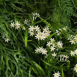 VGnewtrend Composizione verde verticale per esterni Meleda