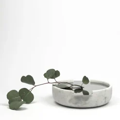 Gumdesign Contenitore remoto Connessioni #2