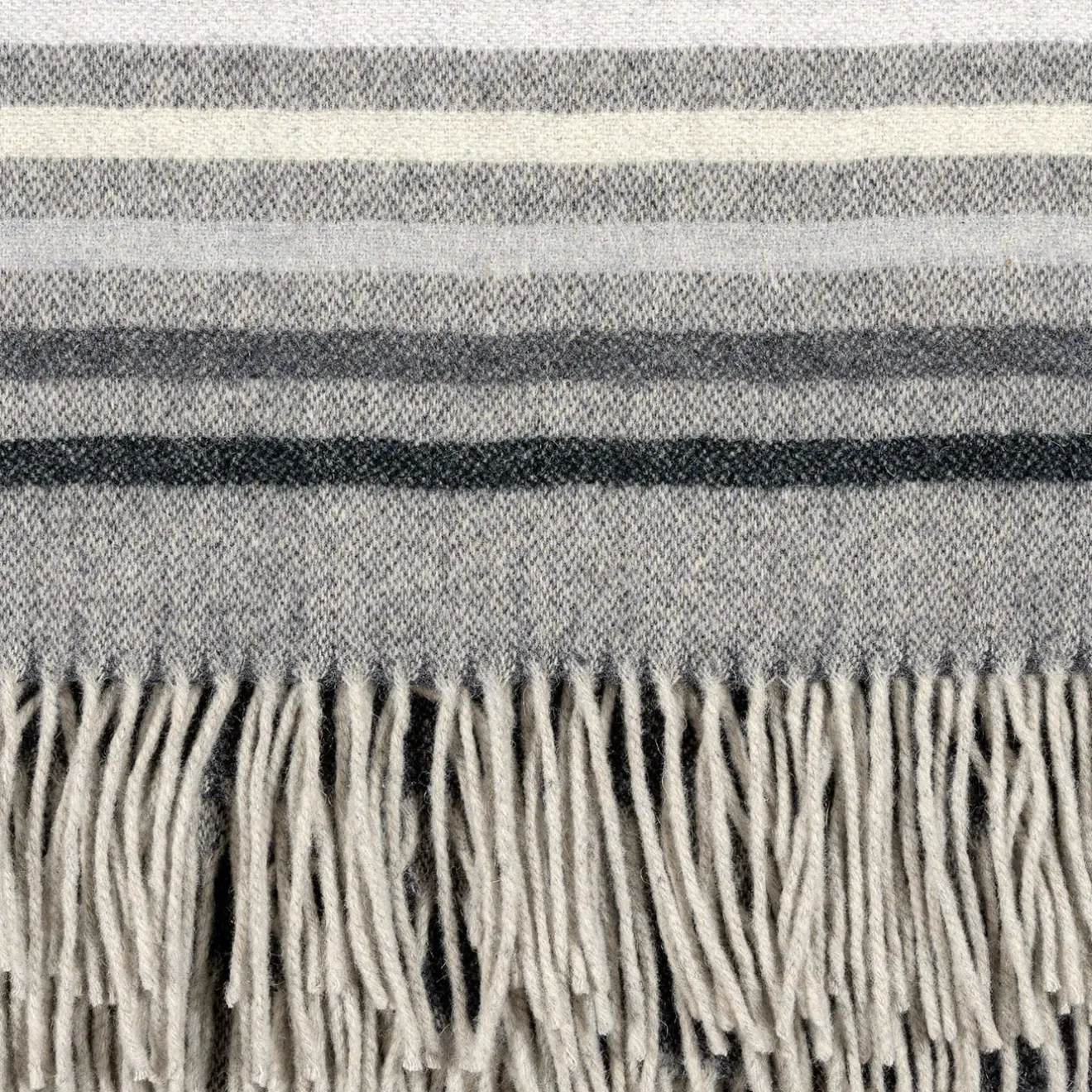 Rivolta Carmignani Coperta piccola Tailor Gray