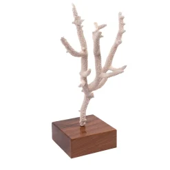 Marricreo Corallo di Acropora Nobilis su base di noce