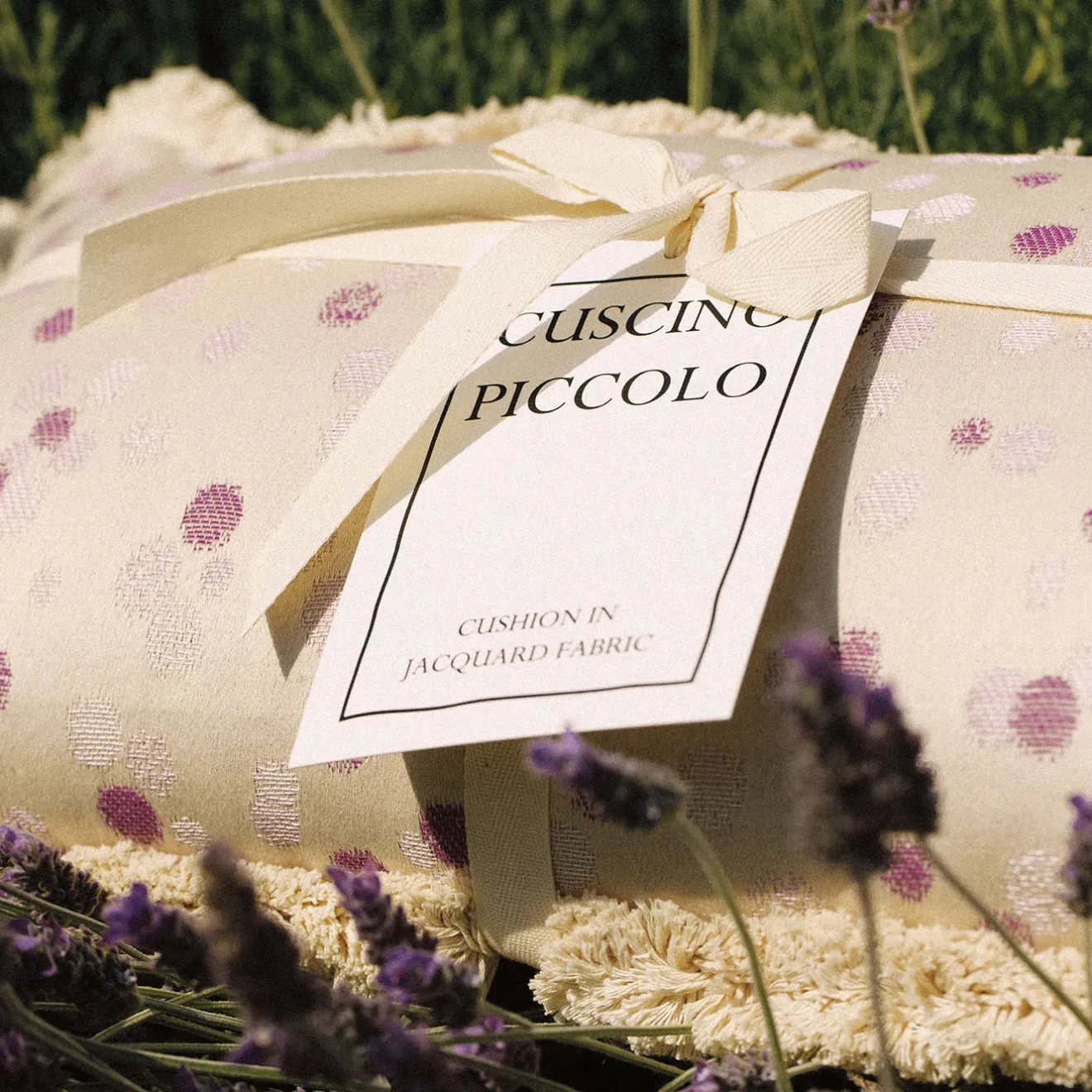 Carola fra i Trulli Cuscino piccolo con frange lilla e viola