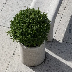 Veltha Outdoor Stone Design Portavasi in pietra Peperino grigio lapis