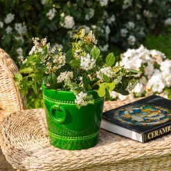 Romarin Portavaso decorativo Seau À Glace verde