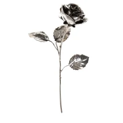 Fratelli Lisi Rosa d'argento