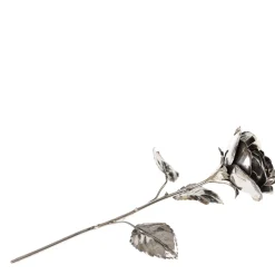 Fratelli Lisi Rosa d'argento