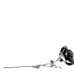 Fratelli Lisi Rosa d'argento