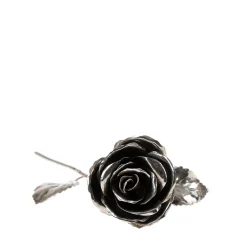 Fratelli Lisi Rosa d'argento