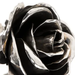 Fratelli Lisi Rosa d'argento