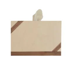 Deodara Scatola di carta igienica a strappo