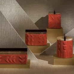 Ex Forti Scatola di corallo Muluc