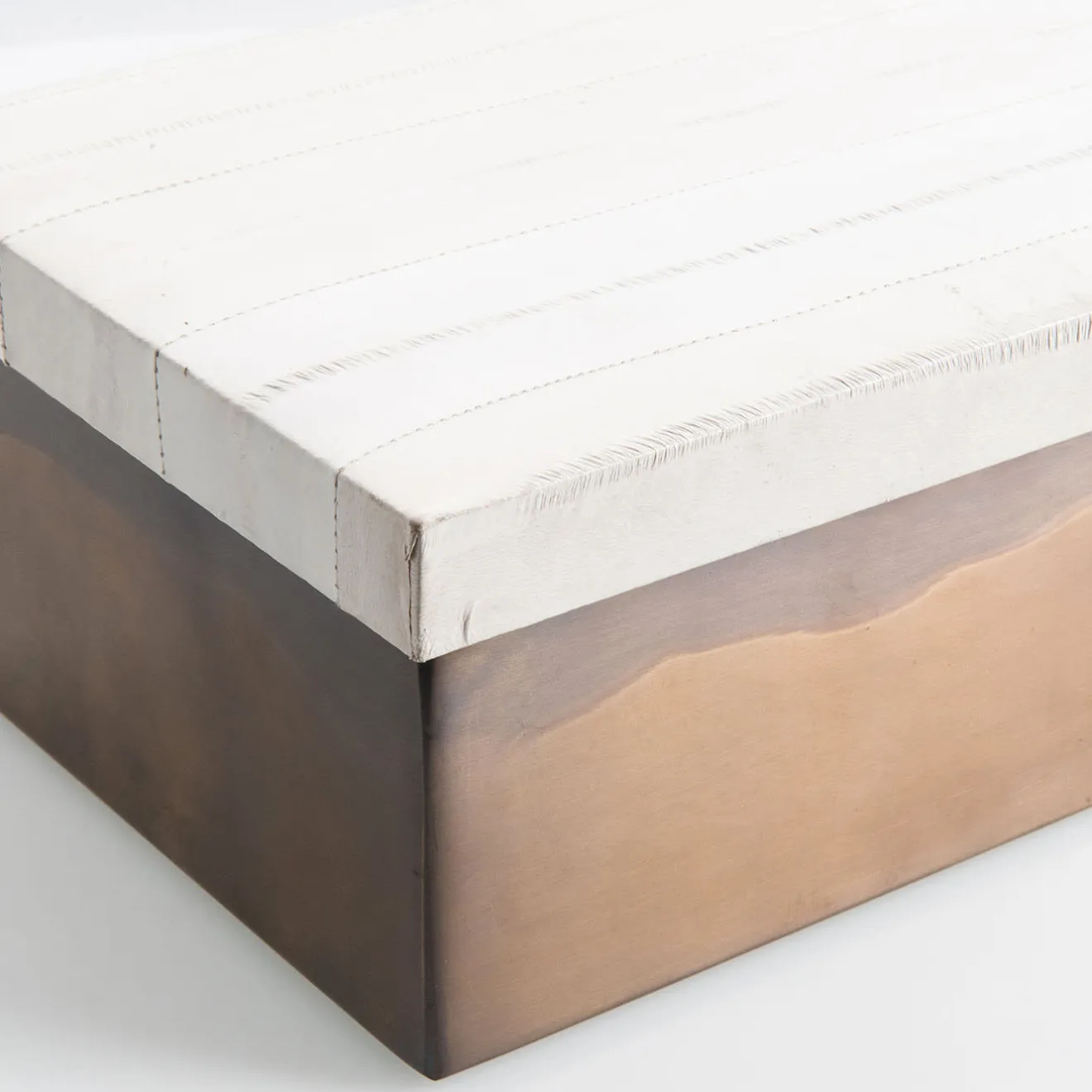Selezioni Domus Scatola in Pelle di Anguila e Ottone Lucido con Coperchio
