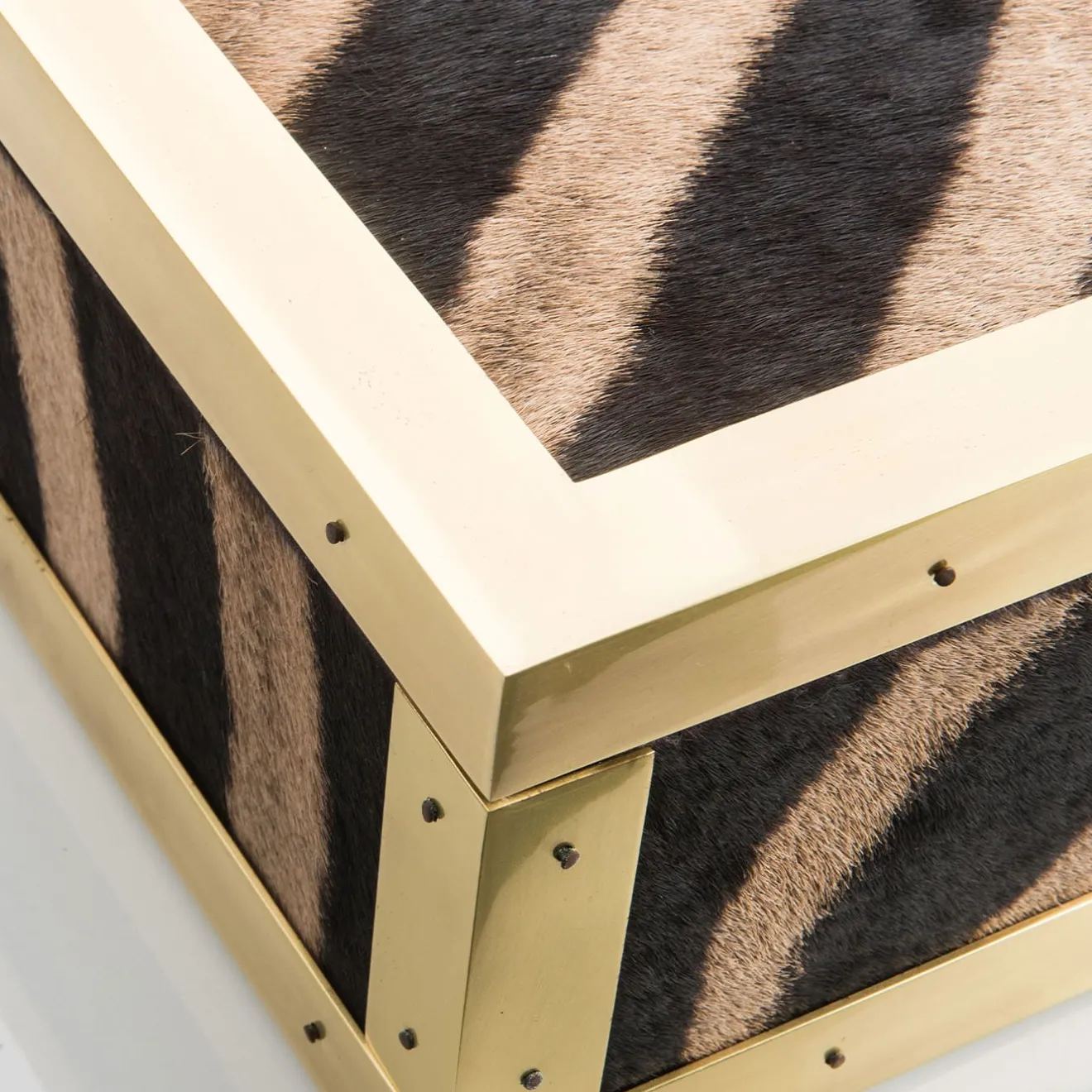 Selezioni Domus Scatola in Pelle di Zebra e Ottone Memories