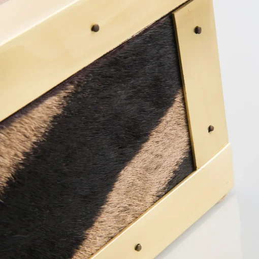 Selezioni Domus Scatola in Pelle di Zebra e Ottone Memories