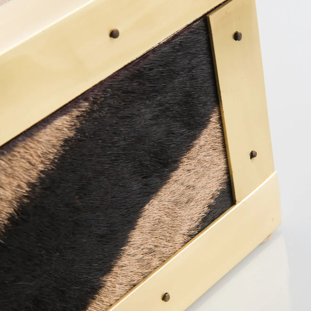 Selezioni Domus Scatola in Pelle di Zebra e Ottone Memories