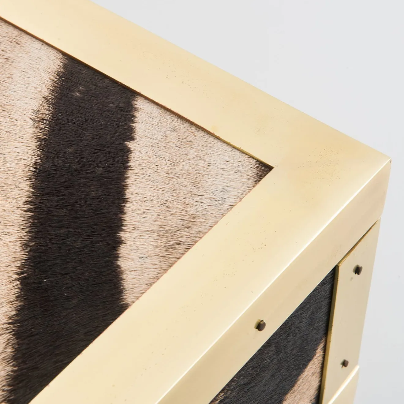 Selezioni Domus Scatola in Pelle di Zebra e Ottone Memories