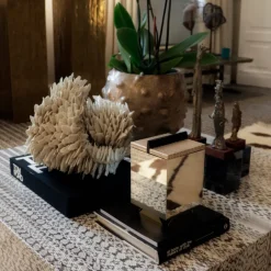 Ex Forti Scatola Ixa