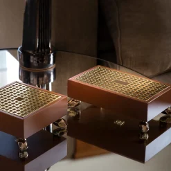 Ex Forti Scatola Limbor marrone/beige