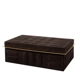 Ex Forti Scatola marrone Asat